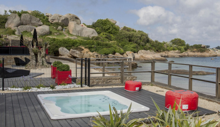 Спа бассейн Jacuzzi Virginia Professional